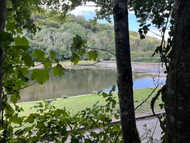 Riverside Barn at Lopwell Dam - B&B Tamerton Foliot