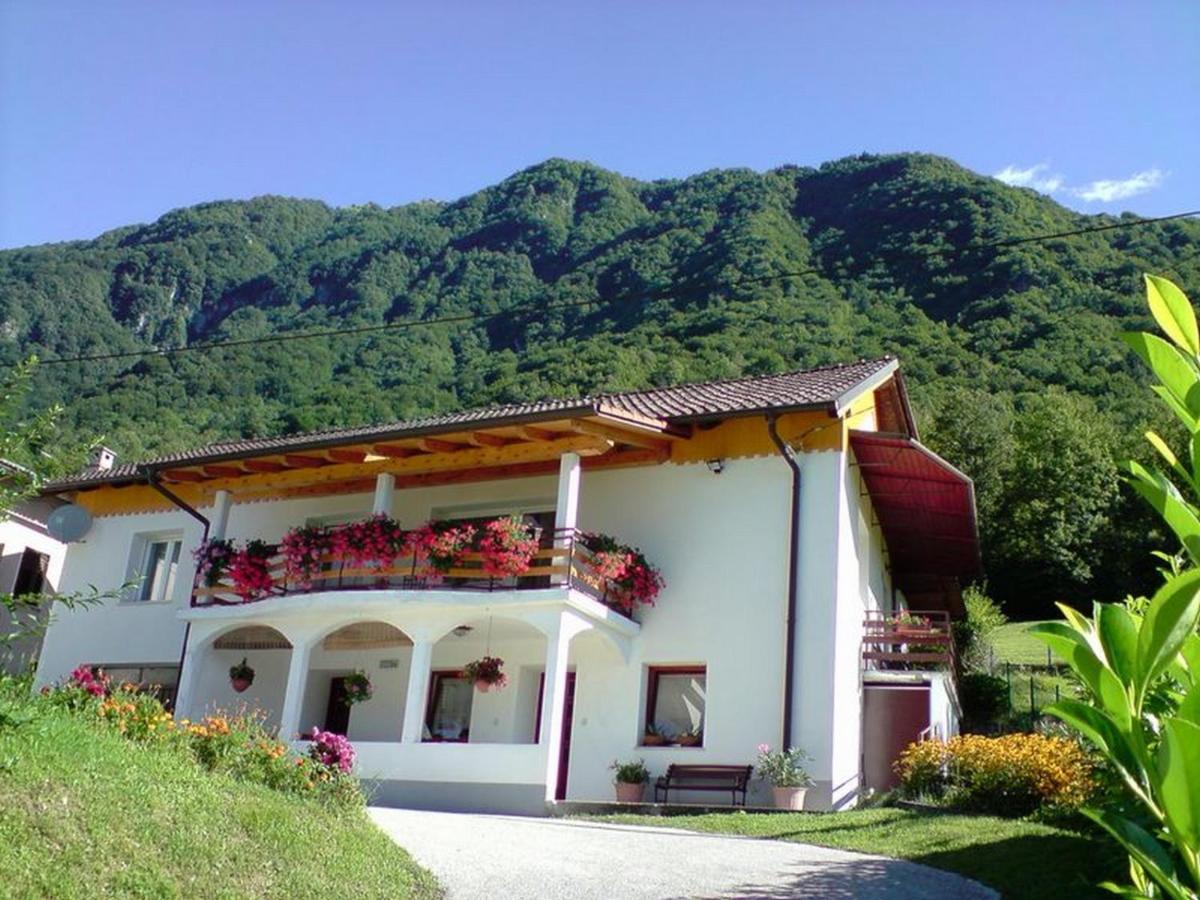 Apartments Denis - B&B