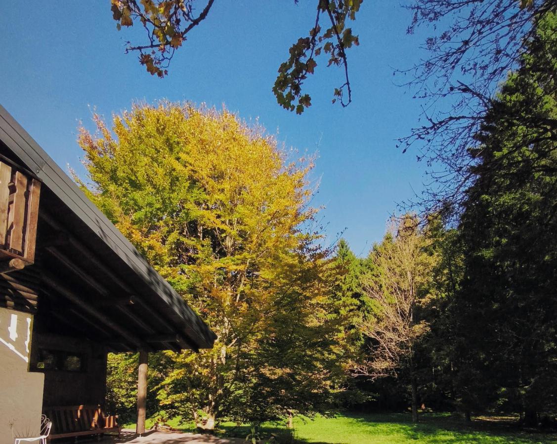 Rèfol Lodge Val di Ledro - B&B Pur