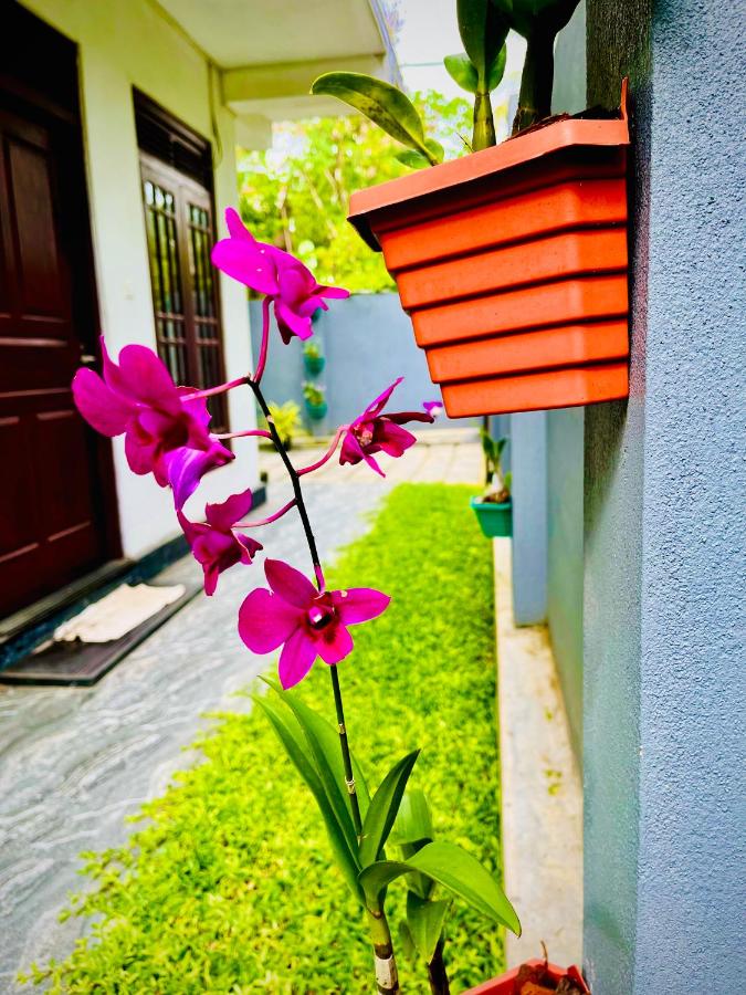 Sun land Villa - Bed and Breakfast Hikkaduwa