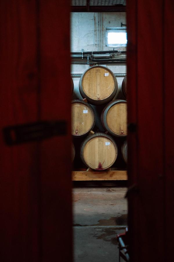 Gîte Clusel-Roch 6 personnes au cœur des Côte-Rôtie - Ferienwohnung Ampuis