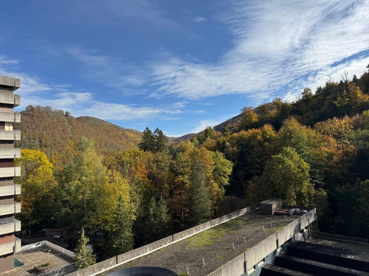 Bergtraum Schwimmbad, Sauna, Familienbett, Kinderbett, 2 Bäder - B&B Bad Harzburg