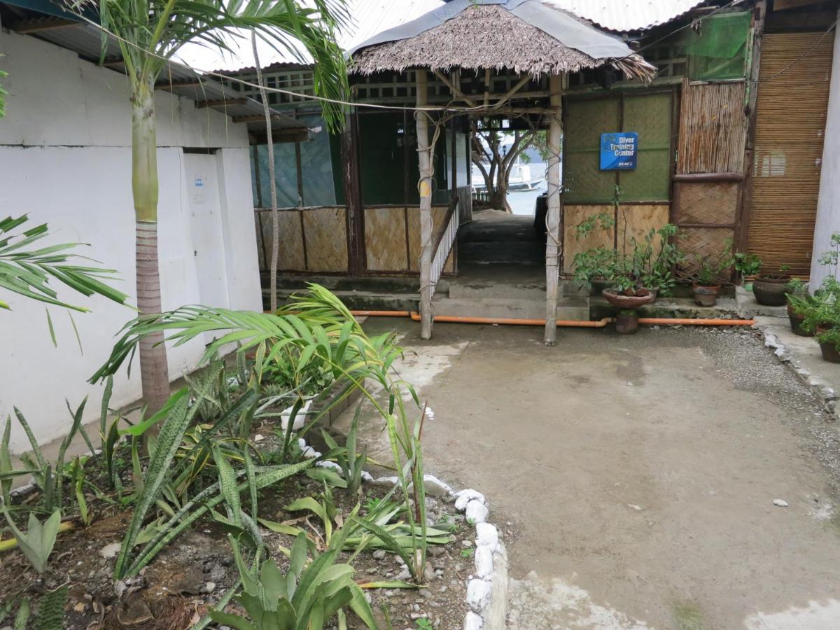 Anilao Scuba Dive Center (ASDC) - B&B