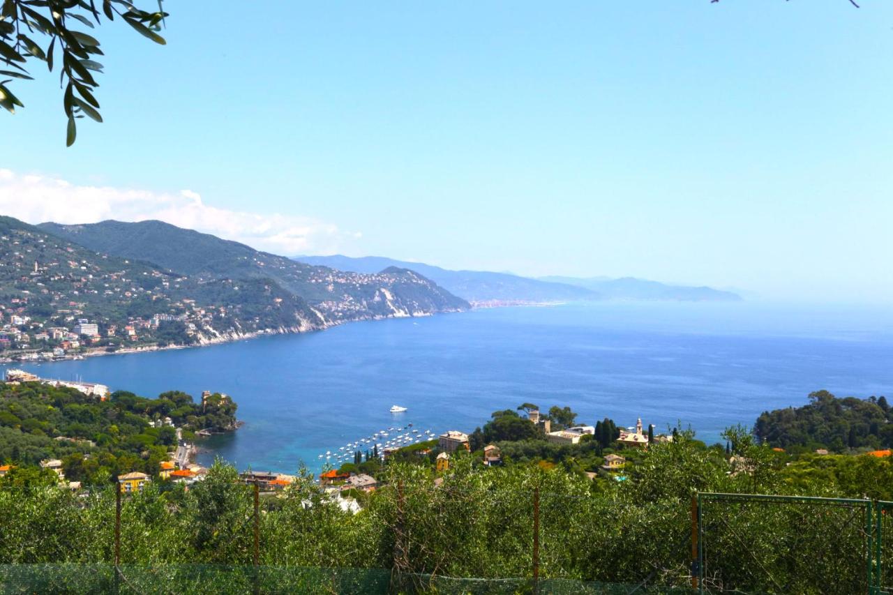 B&B Rapallo - Andromeda Flexyrent - Bed and Breakfast Rapallo