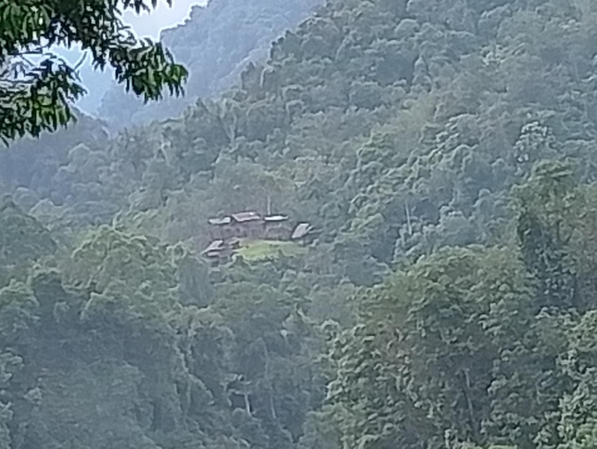 WOOD CABIN LODGE IN THE FOREST book here treking with us - Bed and Breakfast Bukit Lewang