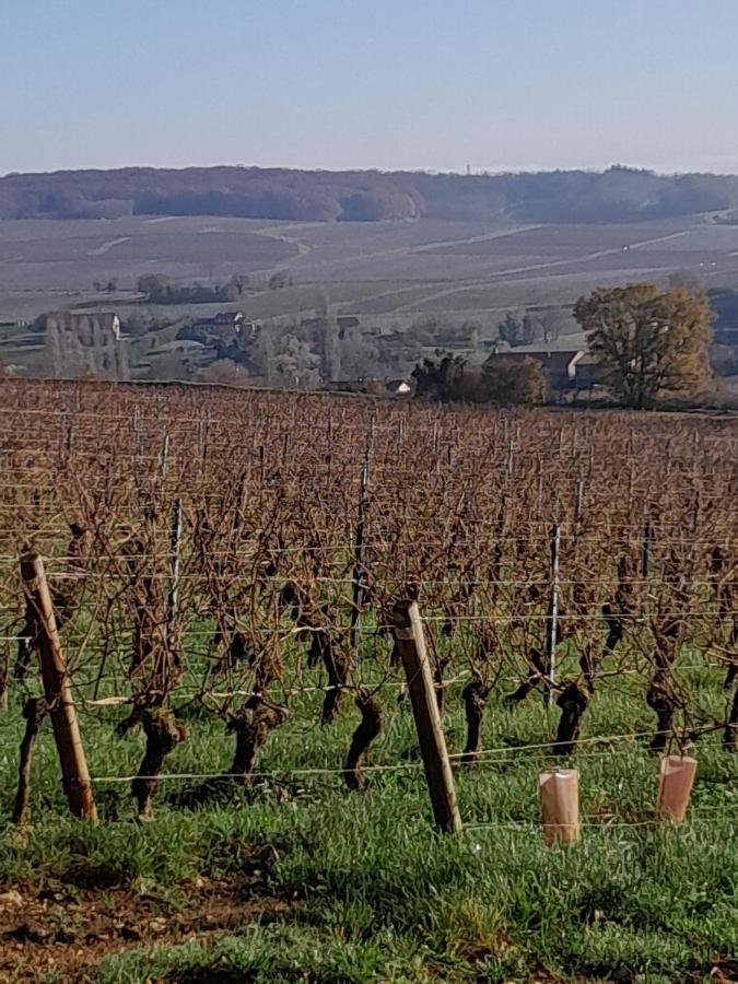 Maison bourguignonne - B&B Lugny