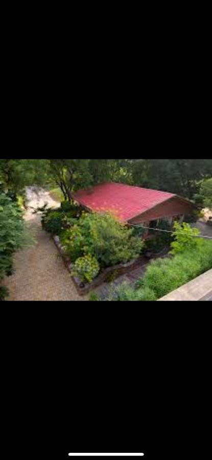 Sukoon The घरर - B&B Jodhpur