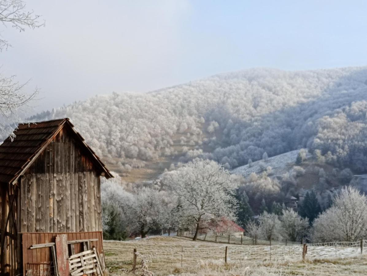 Apartmán na vŕšku - B&B Sklené Teplice