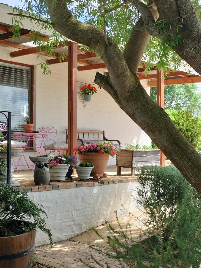 Oz on M8re - B&B Stanford