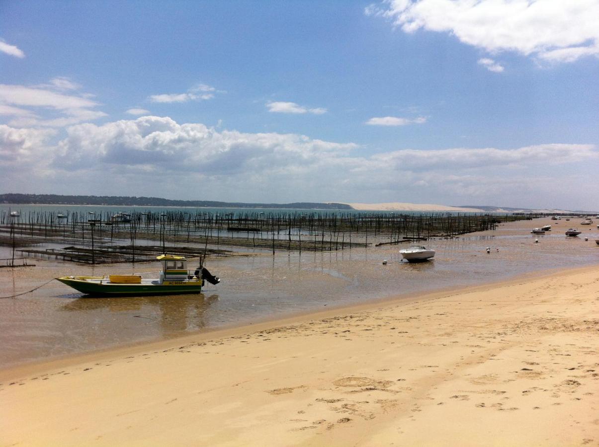 Le petit nid douillet du Bassin - B&B Gujan-Mestras