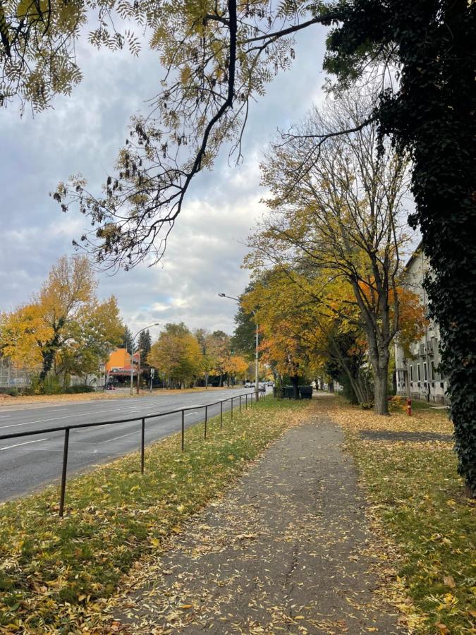 Manda's Flat - B&B Miskolc