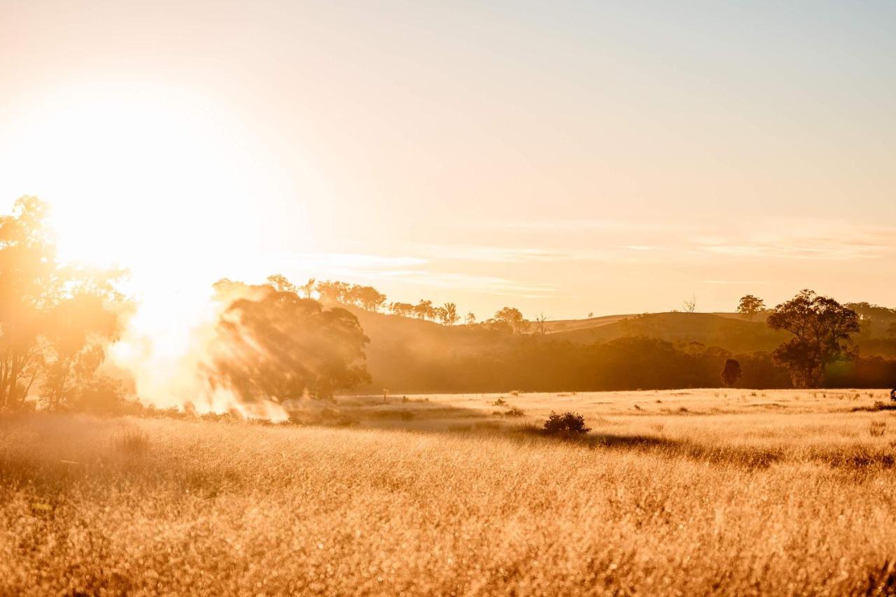 Hermano Farm Stay by Tiny Away - B&B Greenhills