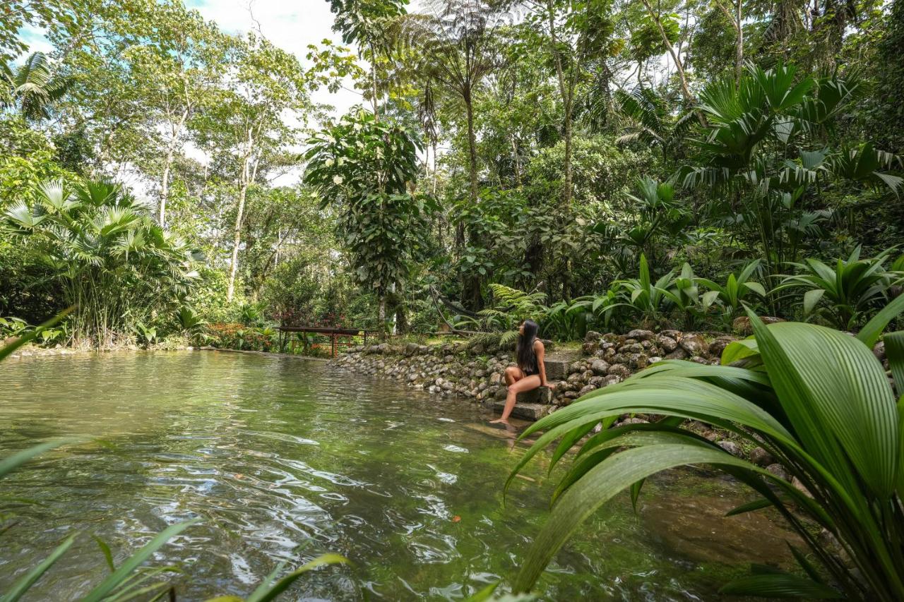 Vibra Wellness Hotel y Spa - Chambres d’hôtes Teniente Hugo Ortiz