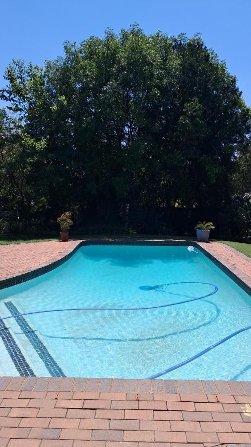 Casa De Olivias peaceful studio - Chambres d’hôtes Johannesbourg