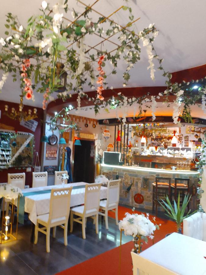 Single Room with Garden View