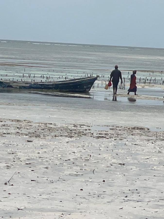 Zanzibar beach escape 1&2 - B&B Bwejuu