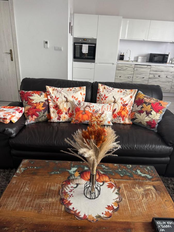 Beautiful apartment in the city center of Poprad - B&B Poprad