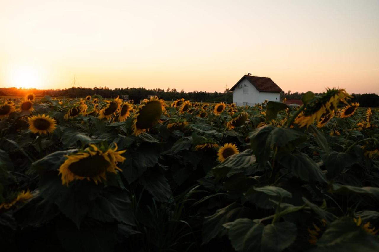 Beocinska Kapija - Bed and Breakfast Rakovac