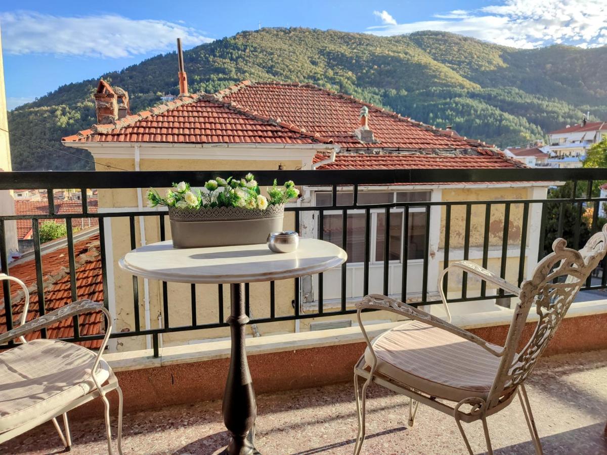 Mountain View Apartment - B&B Florina