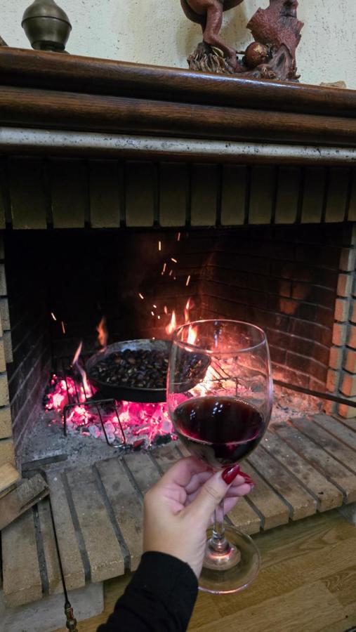 Eni's Villa - Bed and Breakfast Lezhë