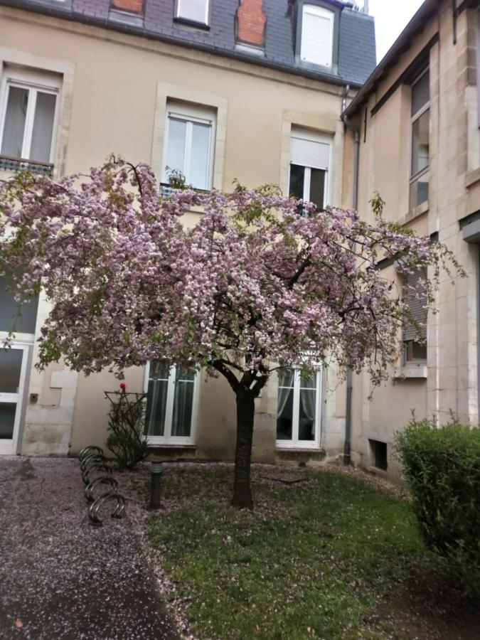 Grand studio avec mezzanine, quartier Avaricum - Chambres d’hôtes Bourges