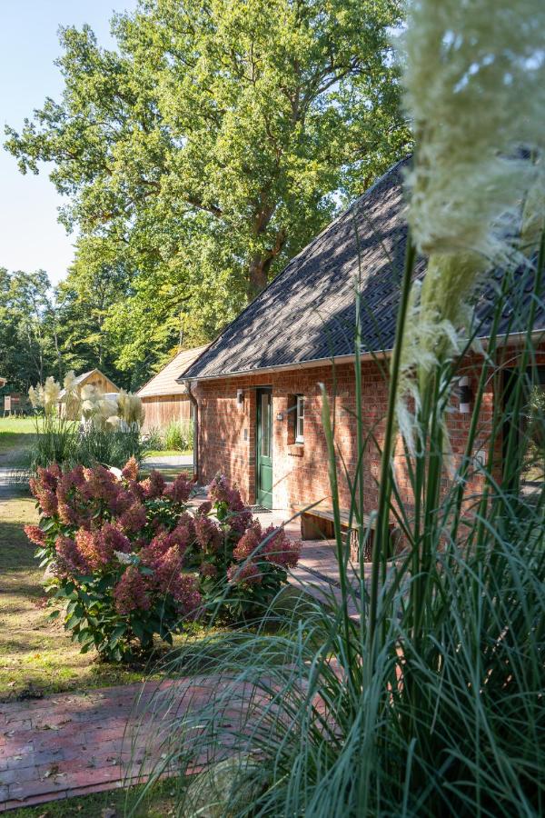 Eiche - Ferienwohnung in Dötlingen mit Waldblick - Ferienwohnung Dötlingen