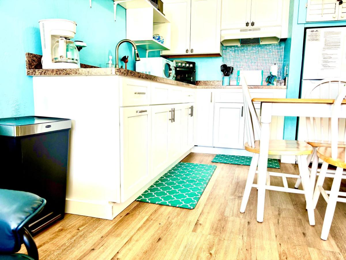 Cedar Key Turtle 132 - B&B Cedar Key