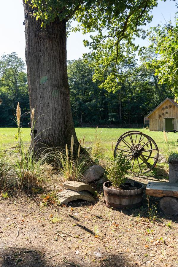 Kiefer -Ferienwohnung in Dötlingen mit Waldblick - Ferienwohnung Dötlingen