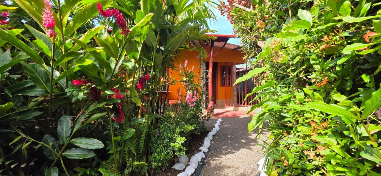 Family Room with Garden View
