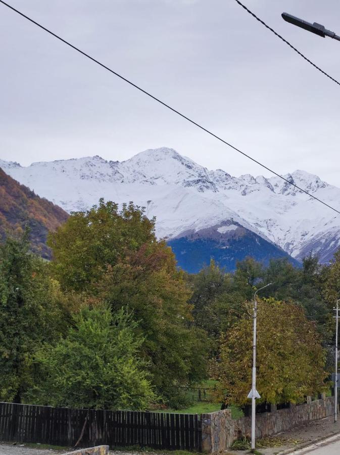 White Peaks - Bed and Breakfast Mestia