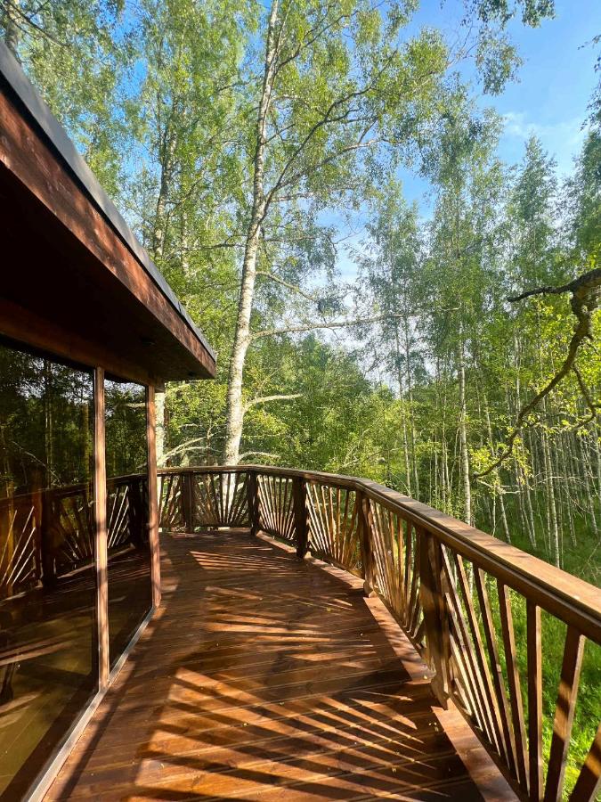 Lootvina Houses - Linnast välja, puu otsa! - B&B Lootvina