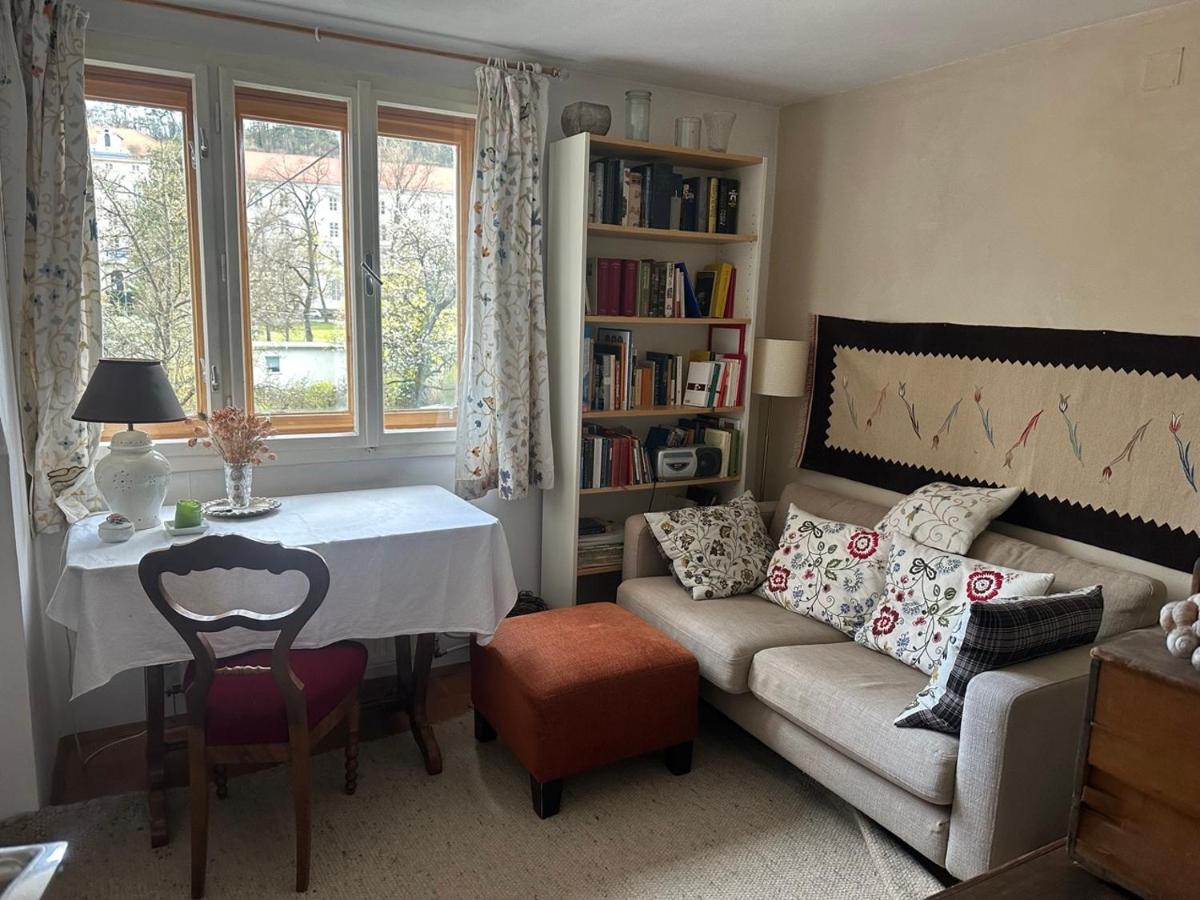 Living unit with garden access - B&B Vienna