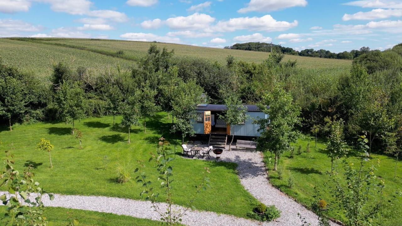 Da Vinci's Den - B&B North Tawton