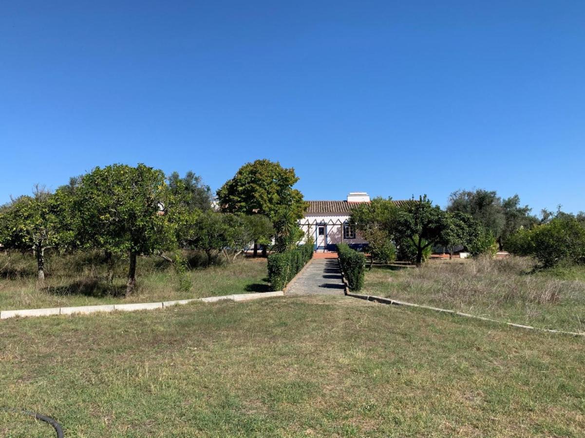Quinta do Céu Tranquilidade e Piscina no Alentejo - B&B Alvito
