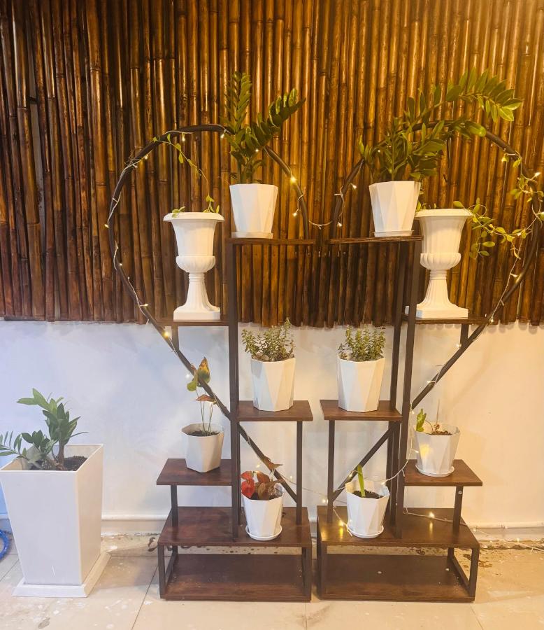 SET INN Restaurant & Bar - Ferienwohnung Kata