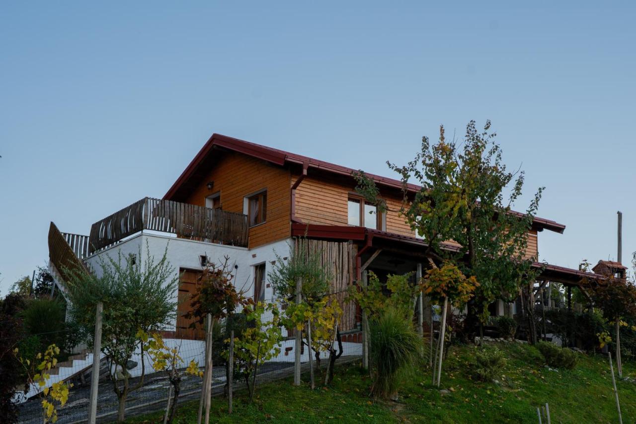 Ruralna kuća za odmor KOVIN BREG - Ferienwohnung Lepajci