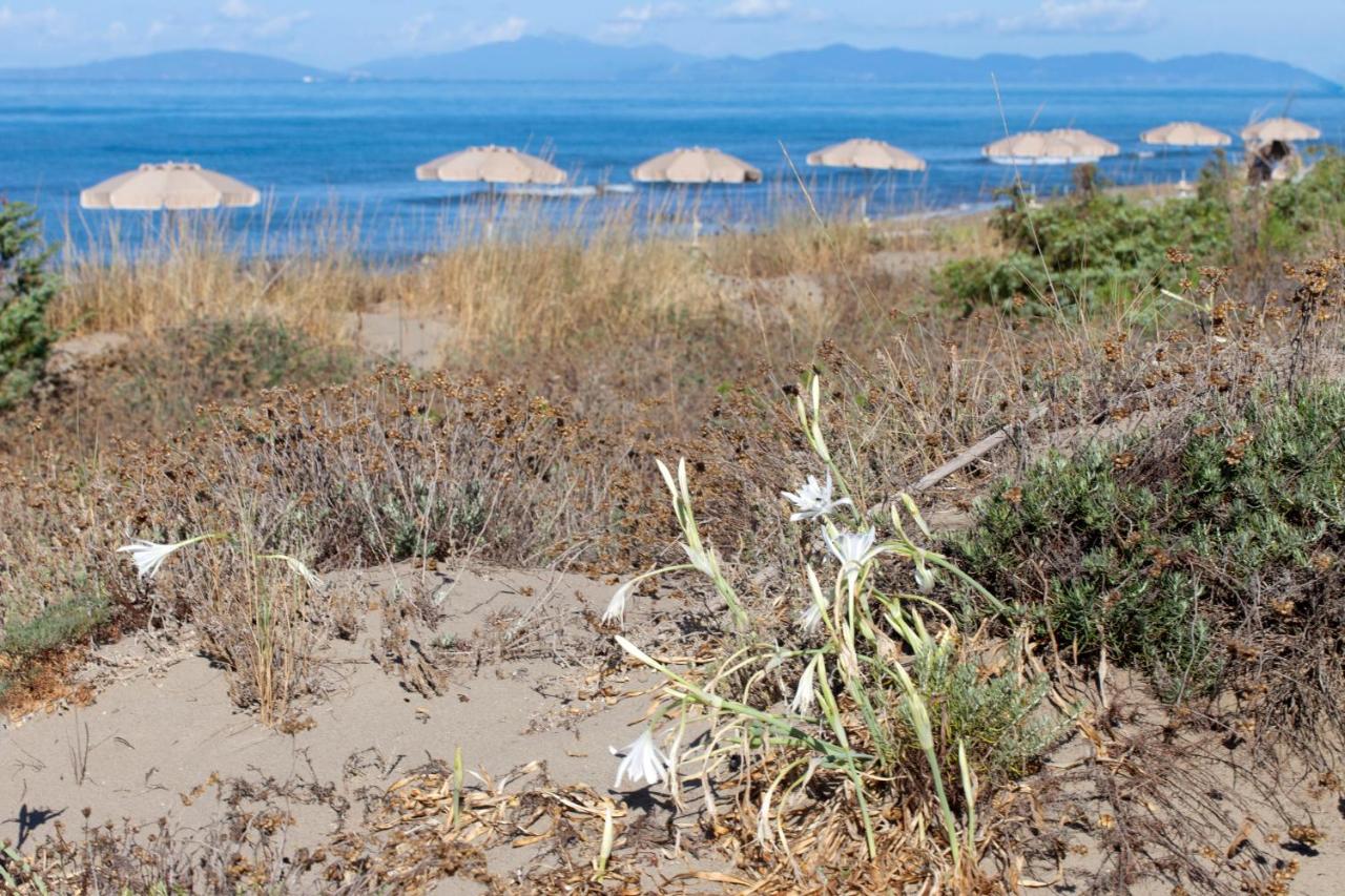 Appartamento con Vista Giardino