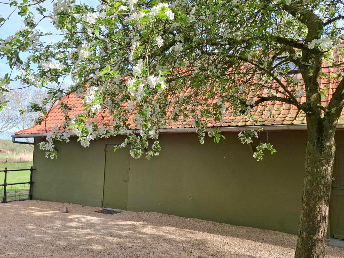 Huis-Chalet aan Puyenbroeck - B&B Wachtebeke