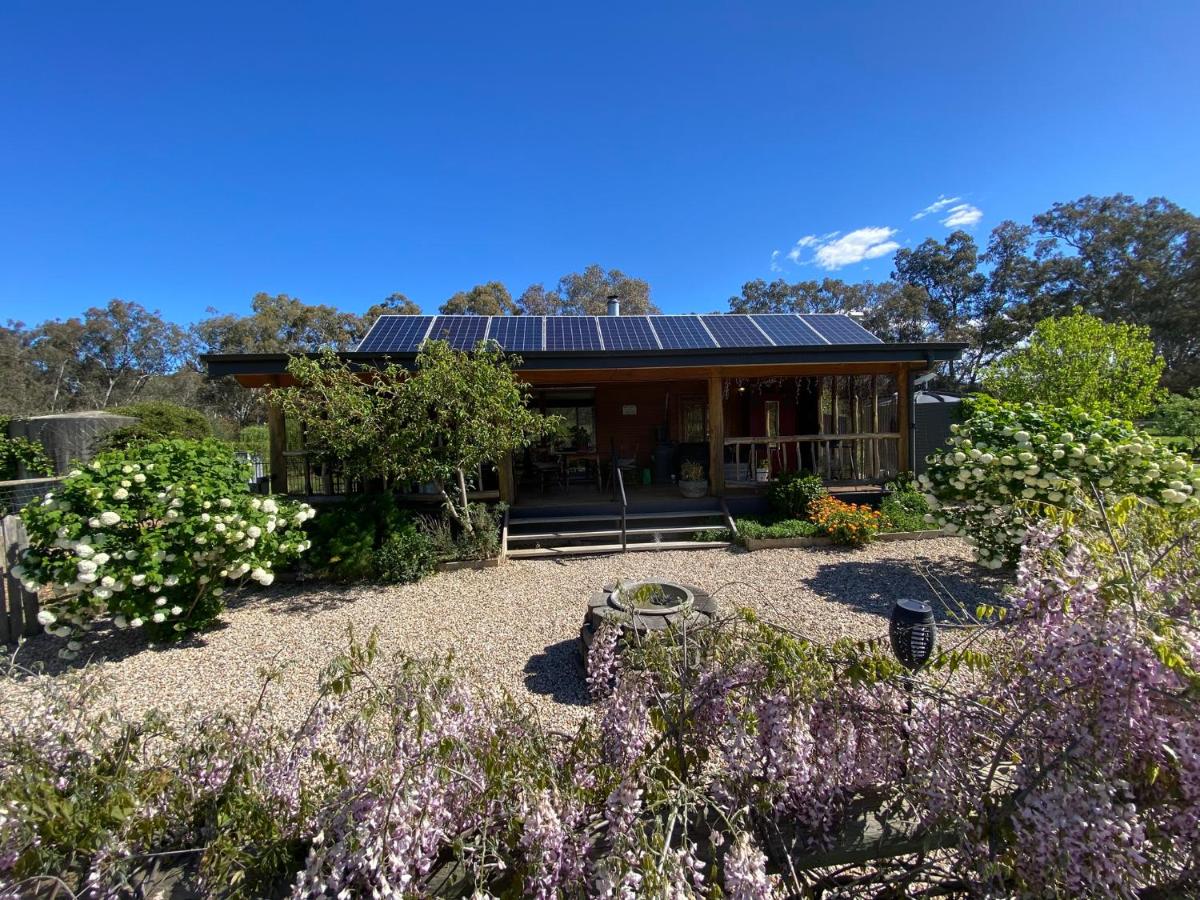 Starlight Lodge - B&B Yea