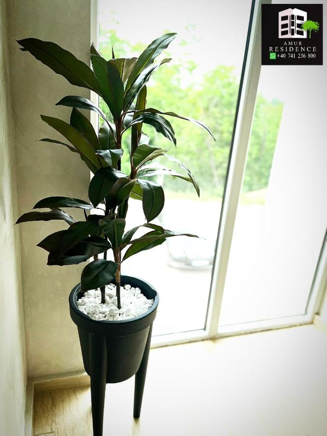 AmurResidence S46 Sauna -parcare privata- 3 camere - B&B Iași