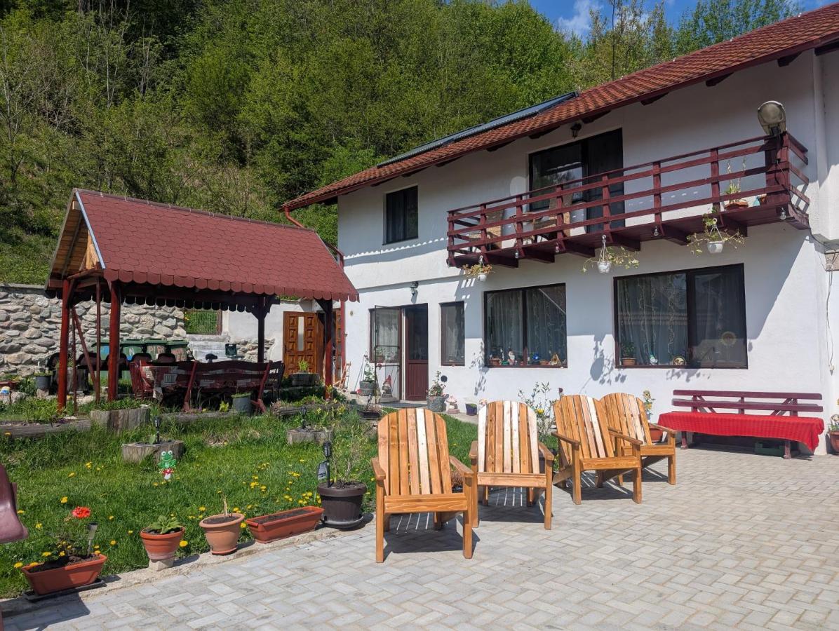 Simon House - Chambres d’hôtes Șimon