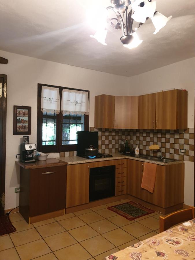Azienda agricola Affittacamere S'Ispinalba di Laura Pitzolu - Bed and Breakfast Borore