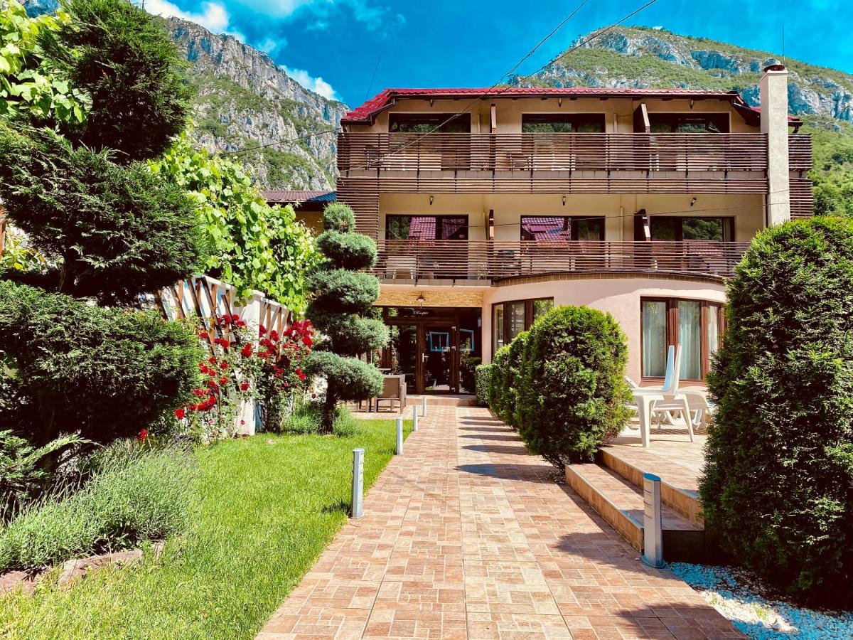 Pensiunea JOJO - B&B Băile Herculane