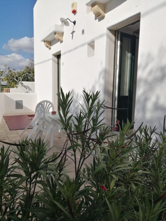 Appartamento - Piano Terra