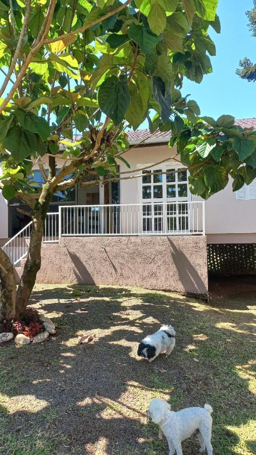 Refúgio dos pássaros - B&B Arroio do Meio