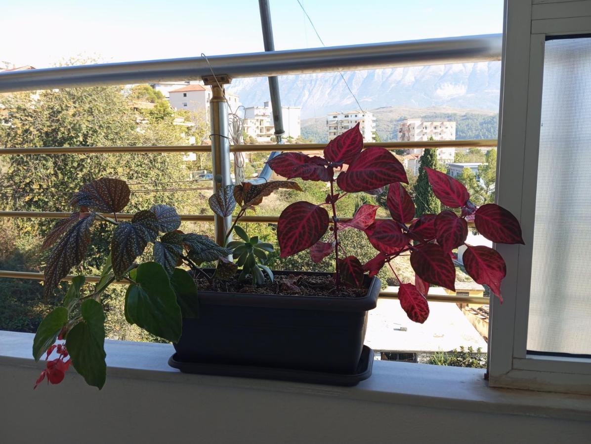 Feodora's Apartment - Bed and Breakfast Gjirokastër