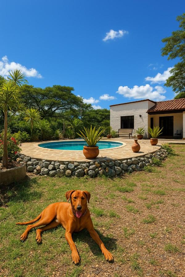 Finca el origen 2025 - Bed and Breakfast Roldanillo