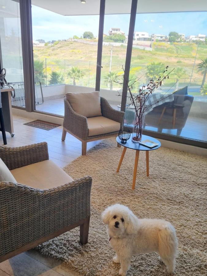 Acogedor y moderno apartamento cerca de Dunas y playa en Con Con - Ferienwohnung Concón