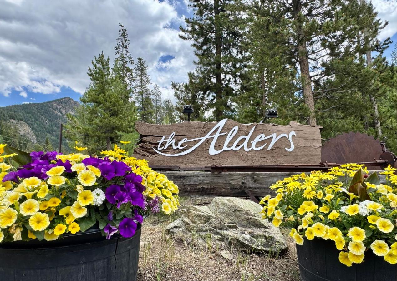 Alders 46 by SummitCove Lodging - B&B Keystone