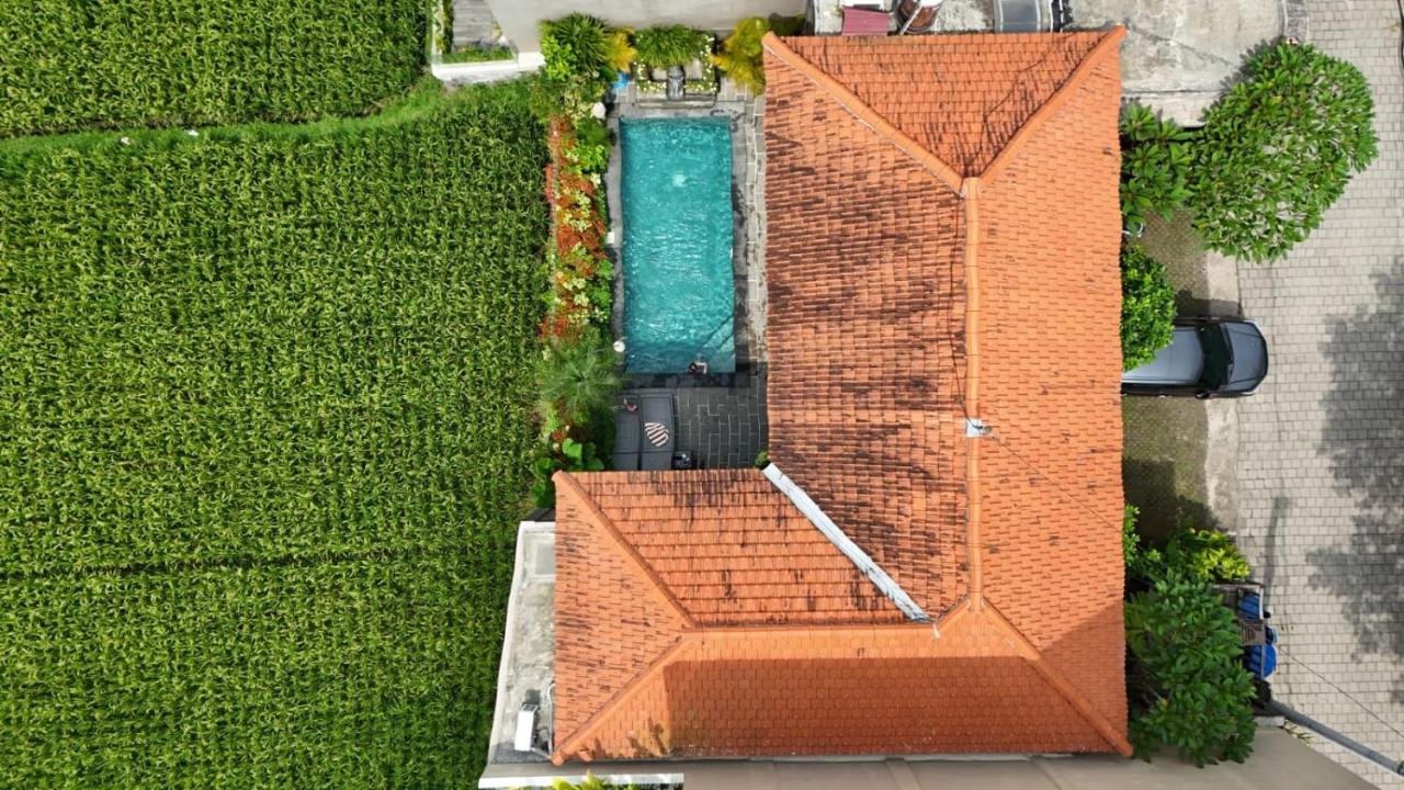 Kidupa Villa - 2 BR private pool - B&B Ubud